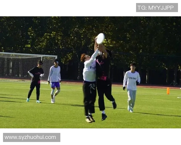 赛后分析：西安飞盘队与广州飞盘队的实力对决与战术较量