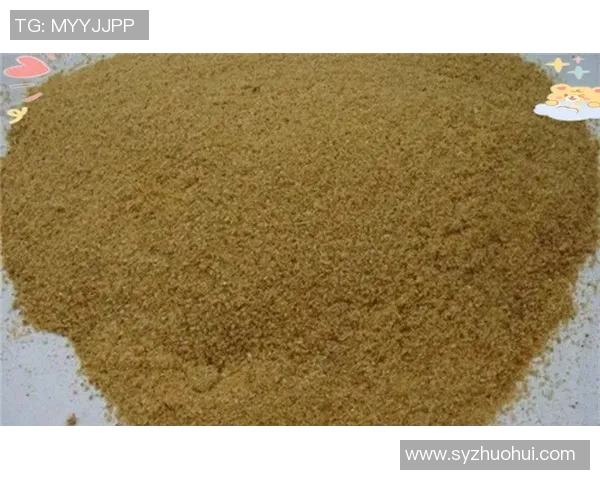 赵磊独家分享网球心得与技巧助你提升球技的全面指南