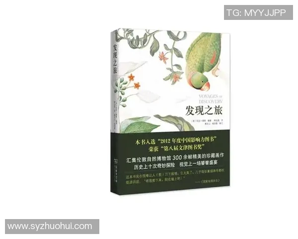 探索斯通斯的神秘历史与文化影响力之旅 探索斯通斯的神秘历史与文化影响力之旅