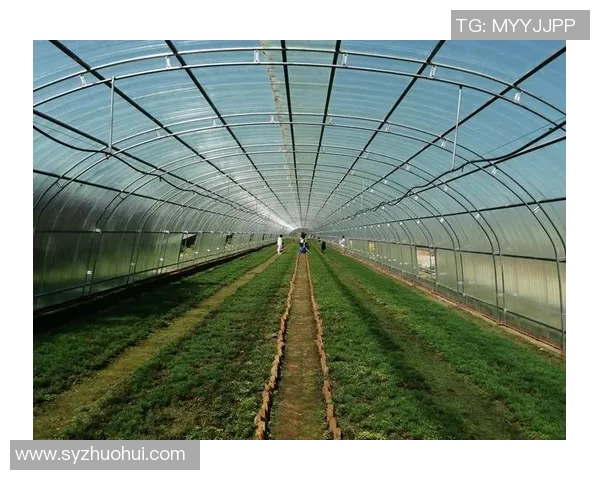 史鸿飞的传奇人生与奋斗历程揭示了时代变迁下的青年梦想与坚持不懈的精神 史鸿飞的传奇人生与奋斗历程揭示了时代变迁下的青年梦想与坚持不懈的精神