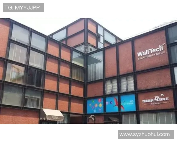 广州羽毛球队运营模式解析与发展趋势探讨MBA