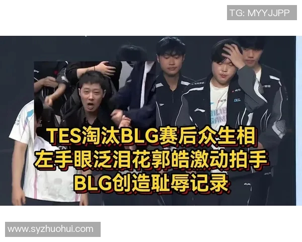 赛后复盘：深入分析BLG与TES对决中的战术与技术细节
